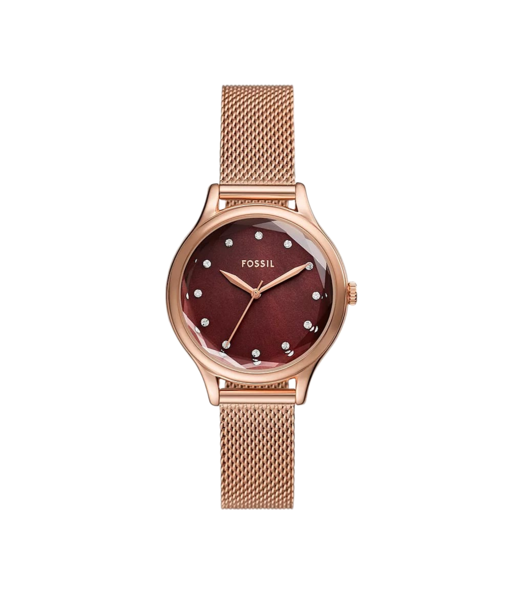 https://accessoiresmodes.com//storage/photos/2339/MONTRE FOSSIL/laney.png